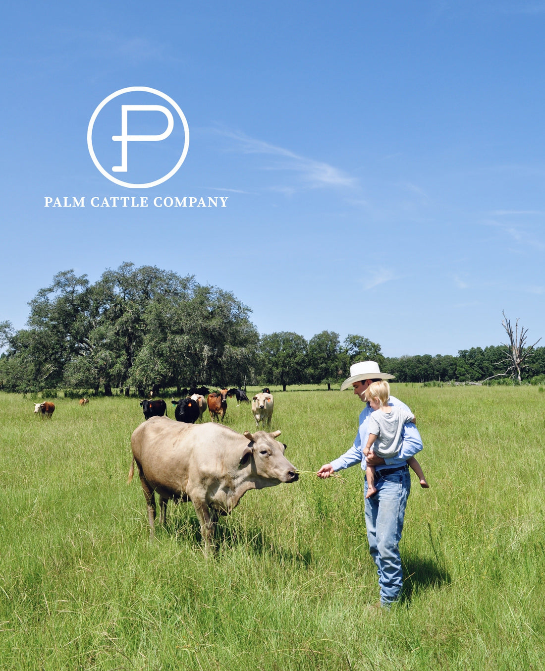 The Next Generation: Teaching Our Children Where Beef Comes From!