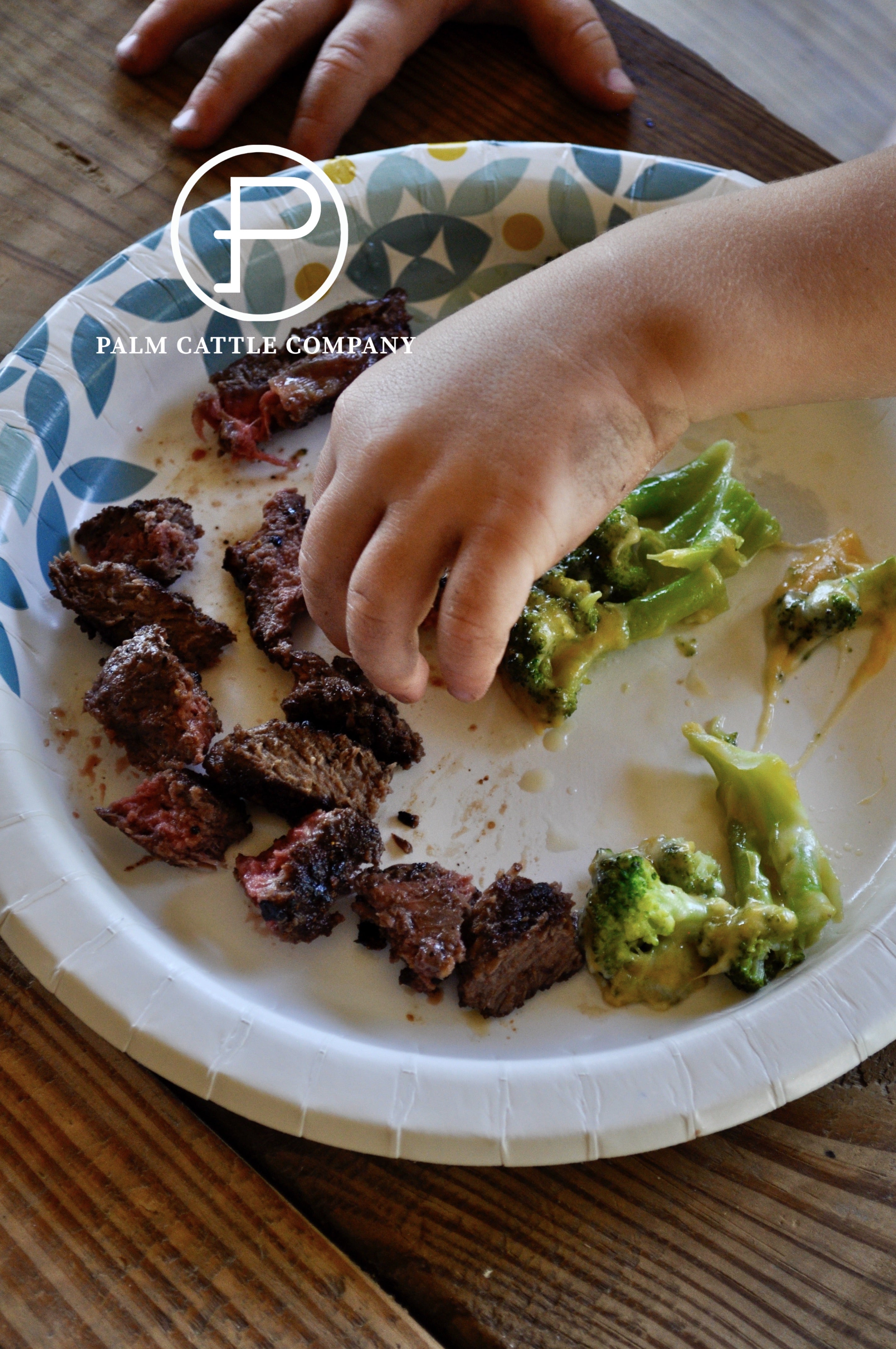 Why American Beef from The Palm Cattle Company Belongs on Your Table