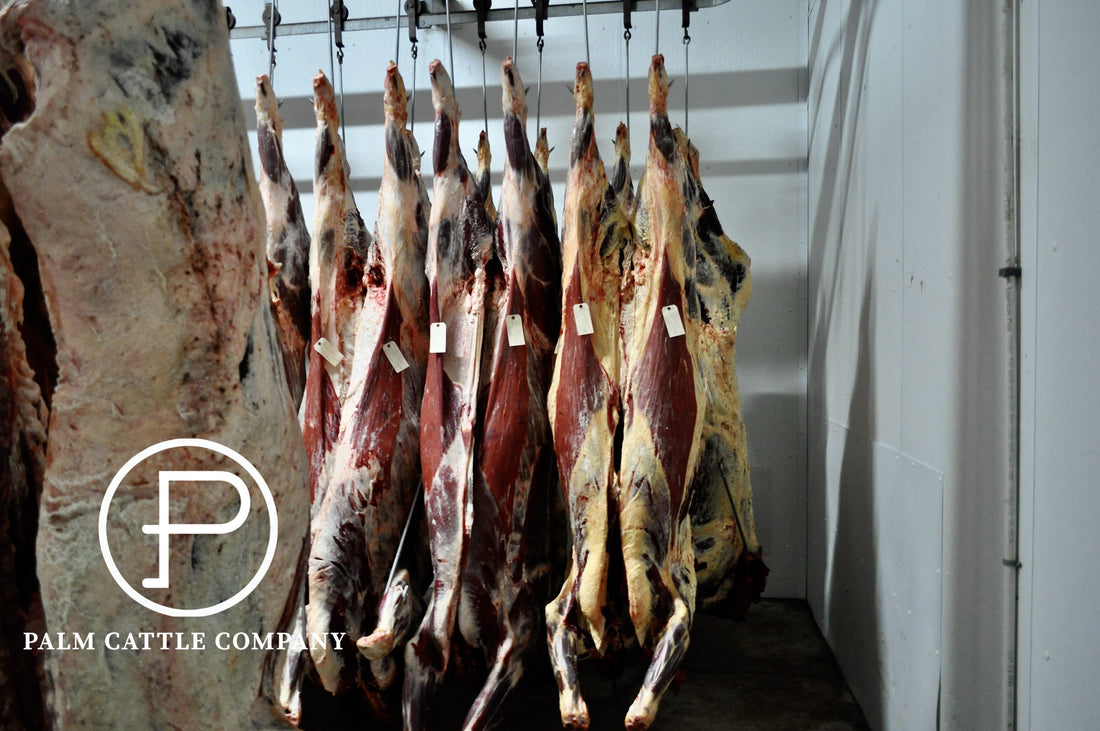 A Butcher Knows Best: Bringing Palm Ranch Beef Direct to Your Table
