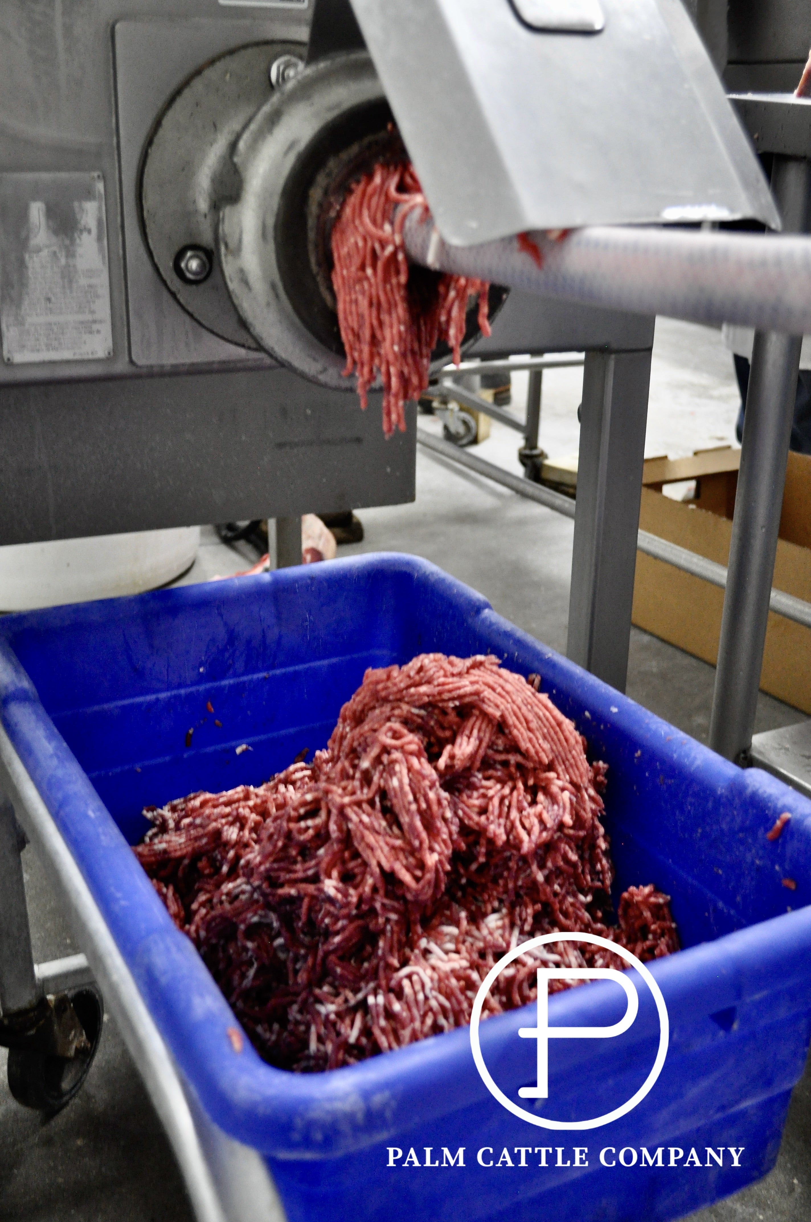 10 lbs of Ground Beef -  Grass Raised & Grain Finished + 21 Day Dry Age